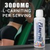 Carnitine 3000 Liquid Supplement – Energy, Recovery & Lean Muscle