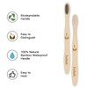 Isshah Biodegradable Eco-Friendly Natural Bamboo Charcoal Toothbrushes, FSC Certified and
