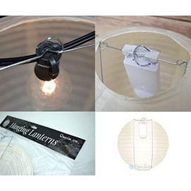 Quasimoon 8" Royal Purple Round Paper Lantern, Even Ribbing, Hanging Decorati...