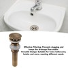 Pop Up Sink Drain Vintage Sink Vessel Drain Stopper Plant