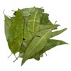 Dried Eucalyptus Leaves 85g - 1.95Kg Premium Quality Eucalyptus Globulus