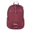 Eddie Bauer Stowaway Packable Backpack-Made from Ripstop Polyester, Black Cherry,