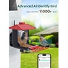 Osoeri Bird Feeder with Camera, Smart AI Identify Wild Bird
