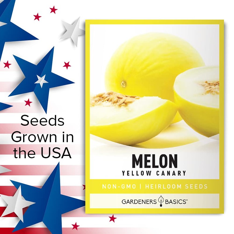 Yellow Canary Melon Seeds for Planting Heirloom, Non-GMO Vegetable Variety-