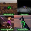 ChalkLit Light Up Dog Harness, No Pull Led Dog Harness