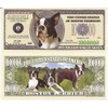 Boston Terrier Dog $Million Dollar$ Novelty Bill Collectible