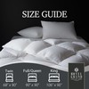 Hotel Grand Luxury White Goose Feather Down Fiber Comforter Full