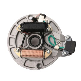 Unbranded/Generic Wire Stator CDI Wiring Harness Lifan SSR 90cc 110cc 125cc Dirt Pit Bike Coolster