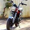 Honda Ducks 125 ST125 Horn Cover Protector Cover Motorcycle Parts