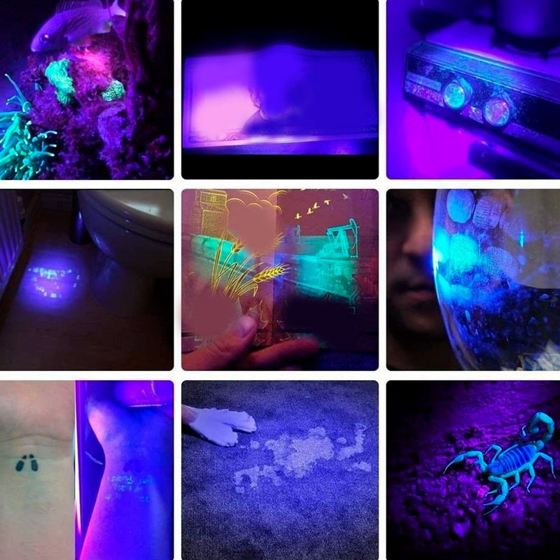 UV Flashlight LED 365nm Blacklight Torch Aluminium Alloy Shell Ultraviolet