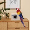 Cabilock Parakeet Nest Box Budgie Nesting House Rustic Cockatiel Breeding