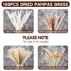 MUOVERN 100pcs Dried Pampas Grass Decor, Natural Boho Dried Flowers