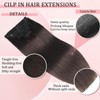 Clip in Hair Extensions Real Human Hair Clip in Extensions