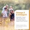 Equazen Childrens Chews, Omega 3 and Omega 6 Supplement, Clinically
