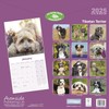 Tibetan Terrier Calendar 2025 | 12 months | with FREE
