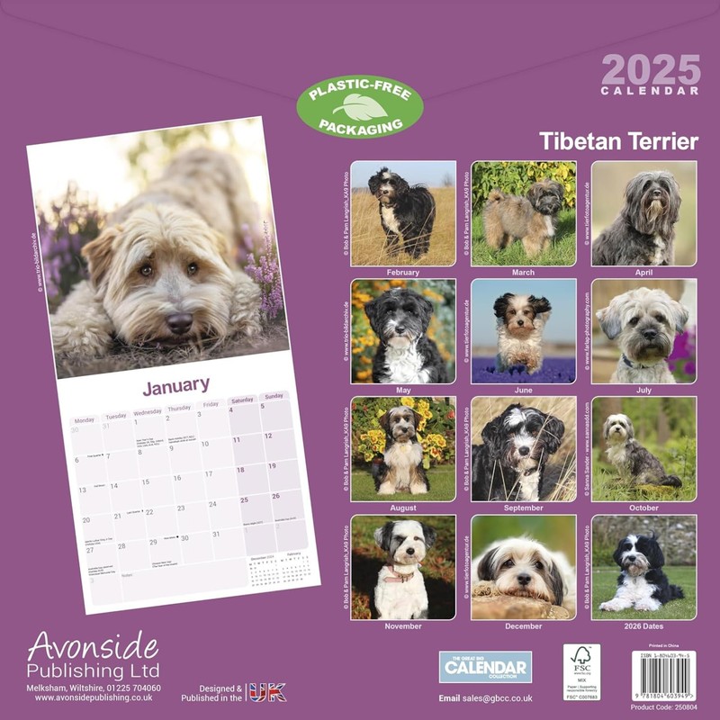 Tibetan Terrier Calendar 2025 | 12 months | with FREE