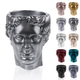 CONCRETTE Hermes Head Planter, Unique Novelty Flower Pot, Sculpture, Home or Garden Decor, Indoor/Outdoor (Steel)