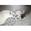Catstages Catstages by Nina Ottosson Rainy Day Puzzle & Play
