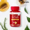 Roniewell 면역케어 레드 프로폴리스 60캡슐 (1개월분) Immune Care Red Propolis