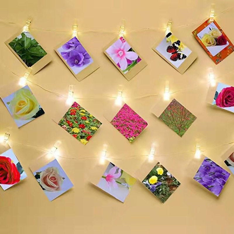 50pcs Clear Small Clips, Transparent Plastic Clear Clips Binder Photo