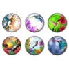 Hummingbird Refrigerator Magnet Set