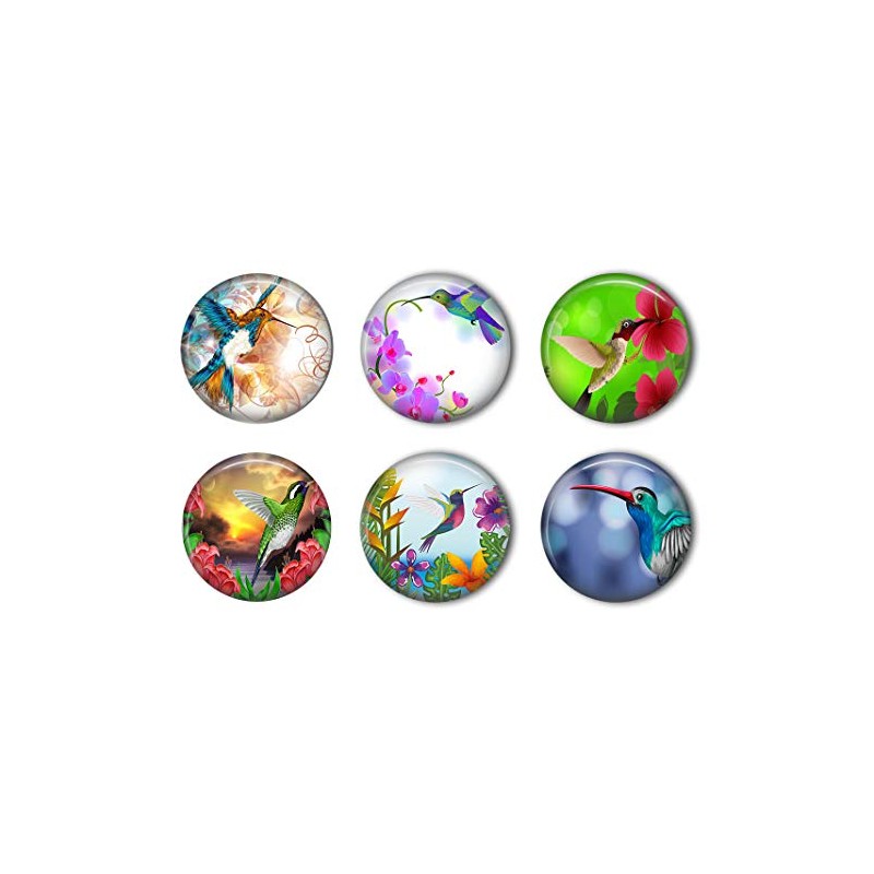Hummingbird Refrigerator Magnet Set