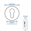 MS Beschläge Key Escutcheon, Door Rosette Black Made of Stainless