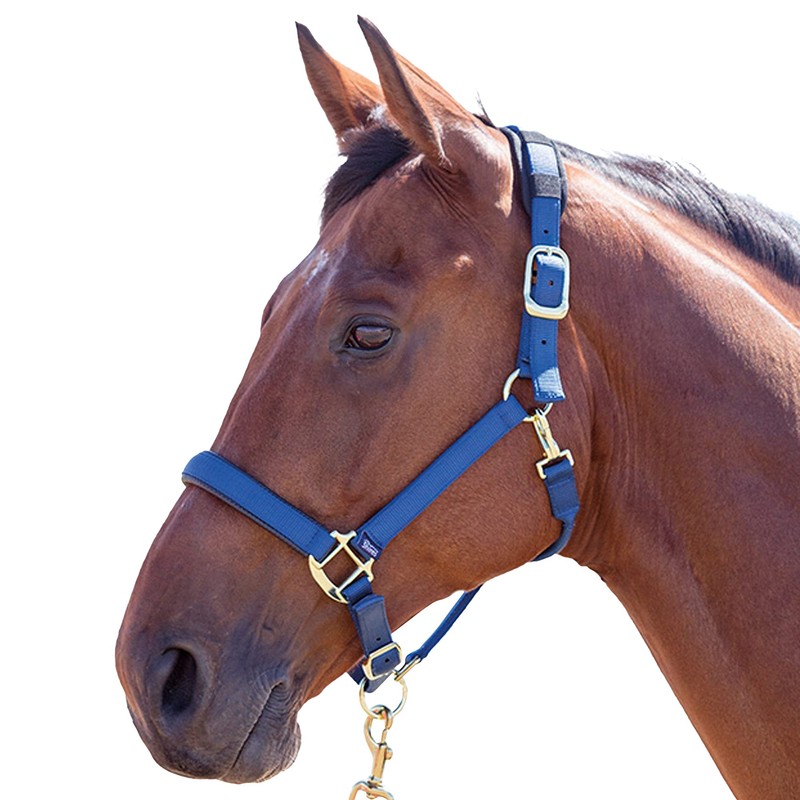 Shires Topaz Nylon Pony/Horse Headcollar - Purple Small Pony