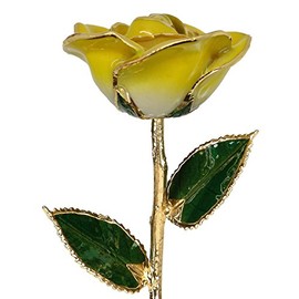 24k Gold Rose - Real Rose Dipped in Gold (2-Tone Yellow)
