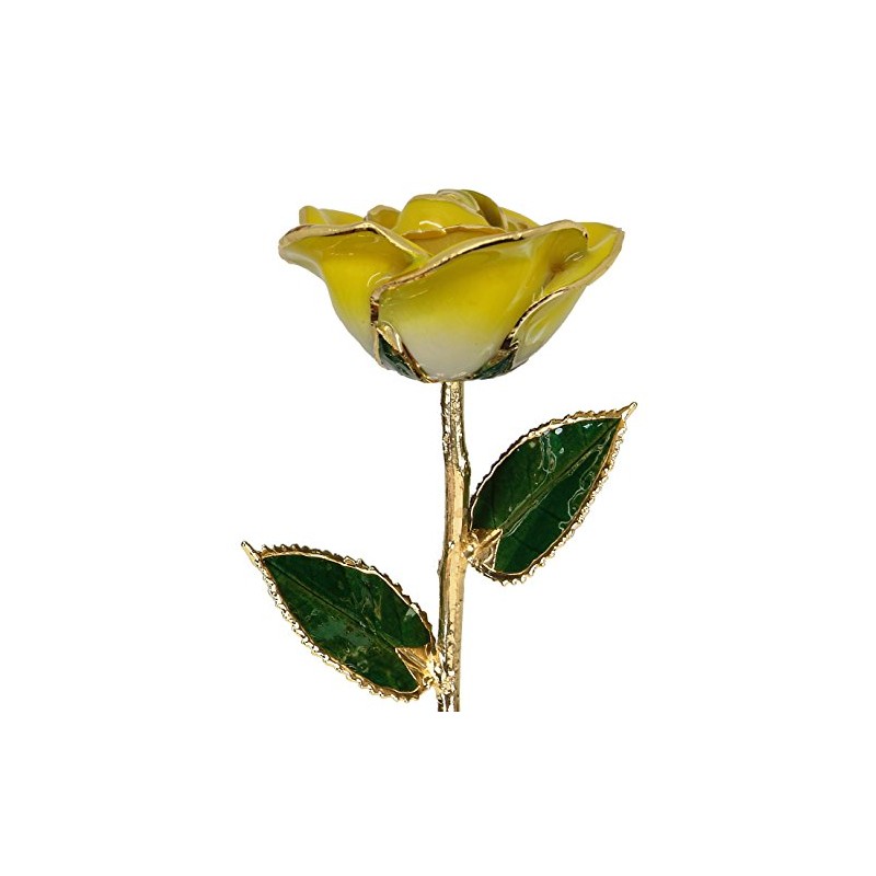 24k Gold Rose - Real Rose Dipped in Gold (2-Tone