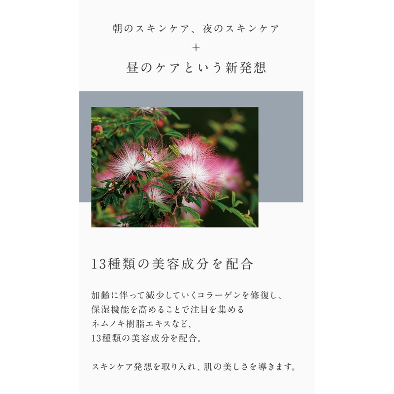 [Skin Care Idea] Smooth Smooth Foundation & wolf 003 Naturalbeige