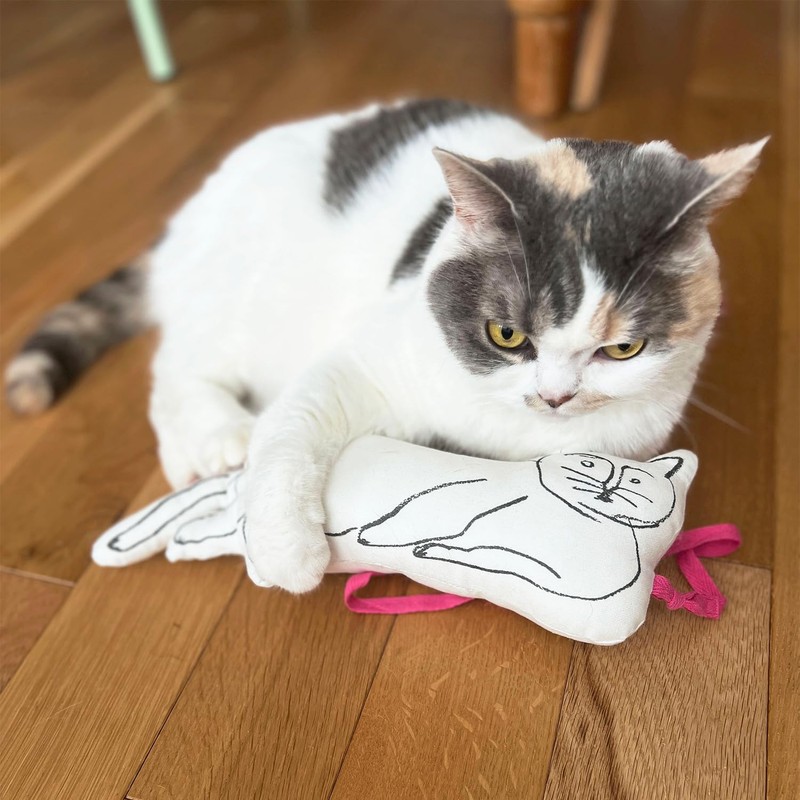 Orneko Kerikeri Cushion Blue