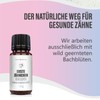 Saint Nutrition® Erste Zähnchen Kügelchen – Zahnungshilfe Baby - Zuckerperlen