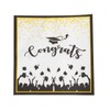 40 Count Graduation Cap Party Napkins - Dr. Hat Design