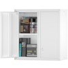 IRONFFICE Steel Wall Cabinet,Kitchen Cabinets Wall Mounted with Doors,Wall Mount