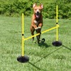 Adjustable Height Agility Hurdle Set Multi-Function Soccer Trainning Pole Set