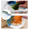 Sarini Garlic Grater Small Fish Ceramic Grater for Garlic Ginger