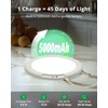 Bojim 2-Pack Rechargeable Ceiling Lights with Motion Sensor & Remote,