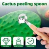 3pcs Cactus Peeler Spoon, Stainless Steel Cactus Peeling Knife Tool