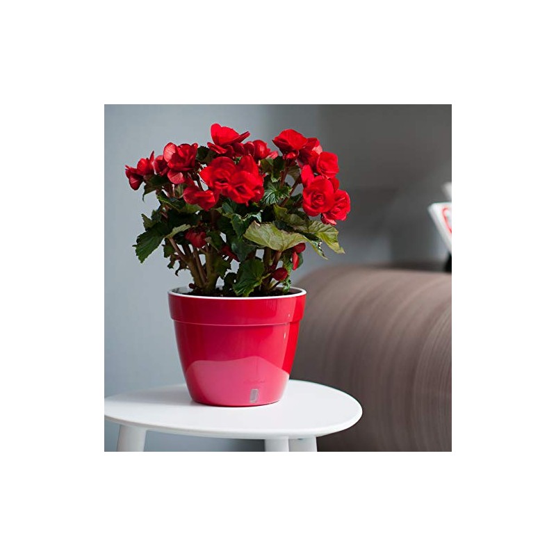 Maceta de autorriego Asti, Jardín, Mentol/Blanco, 7.9