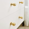 AHQKCRF Gold Kitchen Cabinet Knobs Desk Knobs Decorative Knobs Cute
