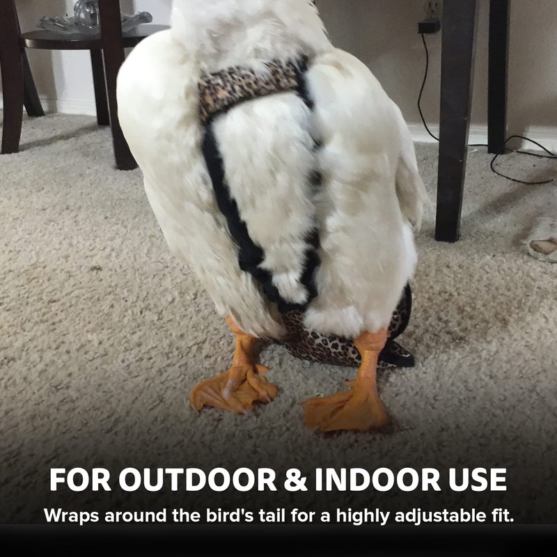 Hen Holster Wrap-Around Duck Diaper with Removable Liner and Adjustable