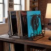 Nagpew Vinyl Record Holder, 9 Section Wire Record Storage, Hold
