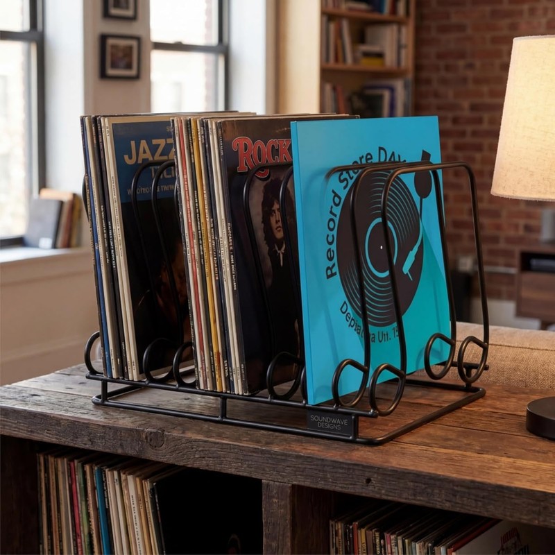 Nagpew Vinyl Record Holder, 9 Section Wire Record Storage, Hold