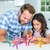 ZZRSYJ Pack of 4 Telescopic Suction Cup Giraffe Toy, Telescopic