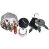 For Ferris, For Briggs Stratton, For Polaris Ignition Switch Key