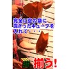 Magic Shop CUBE GIMMICK Puzzle Cubes can be easily assembled