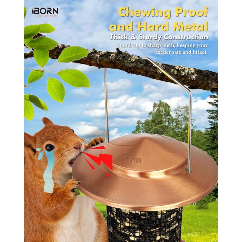 Metal Peanut Bird Feeder for Outdoors, Chew Resistant, 2.2lbs, 1Pk,