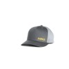 DEWALT Men's Oakdale Trucker Hat (Grey/Light Grey)