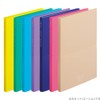 LIHIT LAB CUBEFIZZ N6003-10 Clear Book, Stand Type, A4, 20